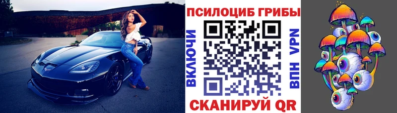 Галлюциногенные грибы прущие грибы  Осташков 